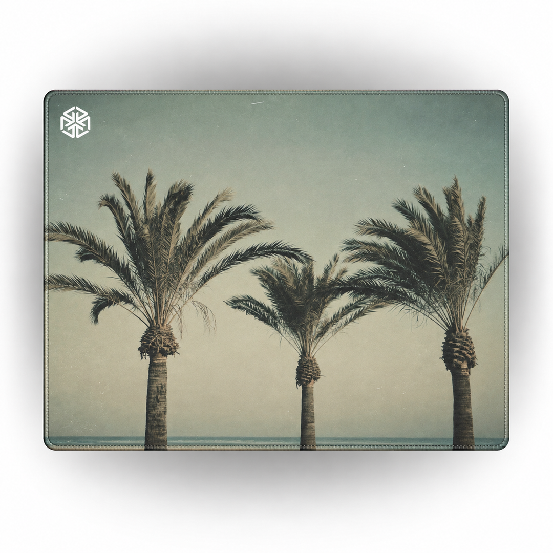 ENIGMA: "PALM"